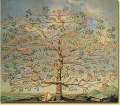 copertina SEMINARIO di COSTELLAZIONI FAMILIARI