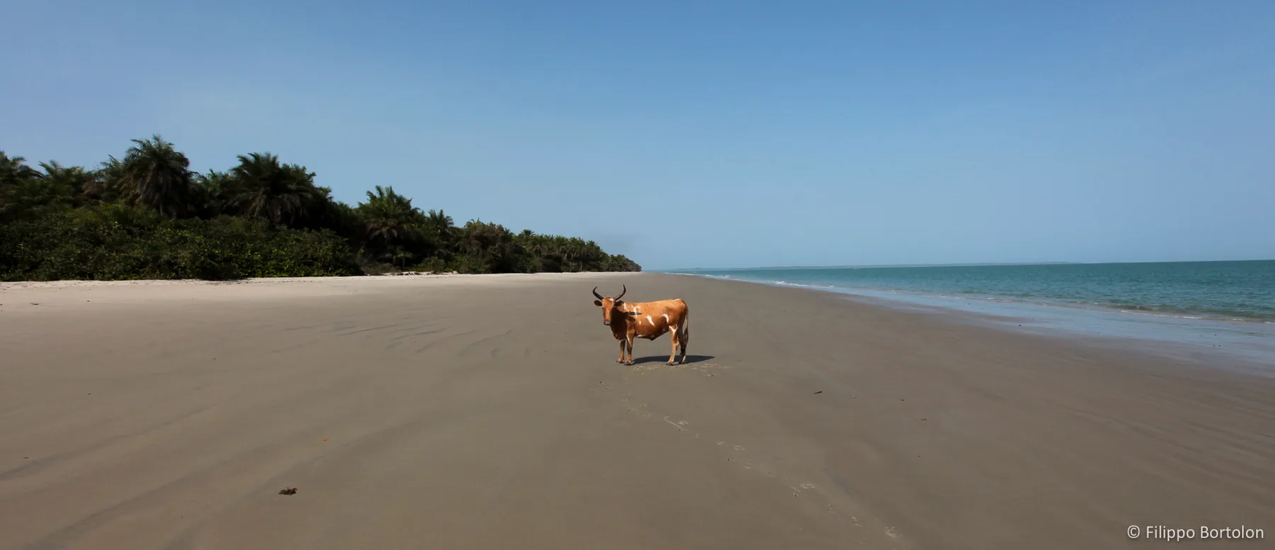 copertina Bijagòs  Paraíso da Biodiversidade