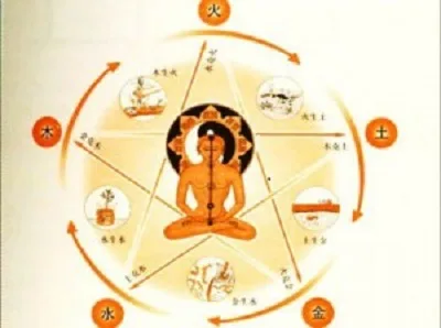 copertina La Medicina Ayurveda